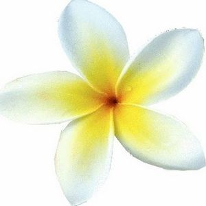 Meet your Posher, Calma